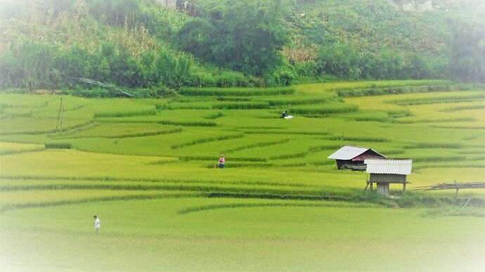 Voyage au VIetnam avec Amica Travel du  24/8 au 7/9 - Riviere-M-France