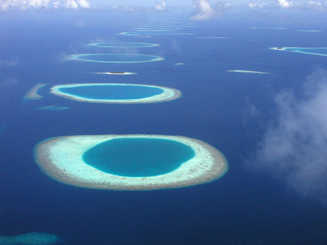 Vilu reef, coco palm dhuni, constance moofushi ou maafushivaru? - Phil Ô Maldives Guide Safaris