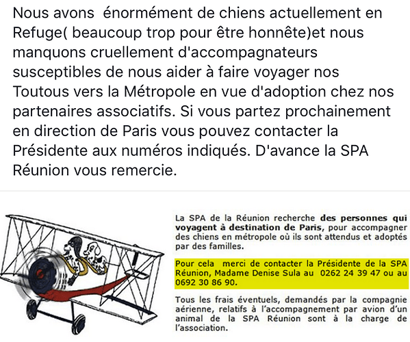 Inscription gratuite chien sur sa carte d'embarquement rend service à la SPA - lamélou