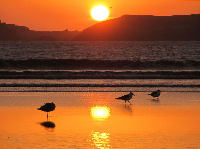 Essaouira - adrianagrecu