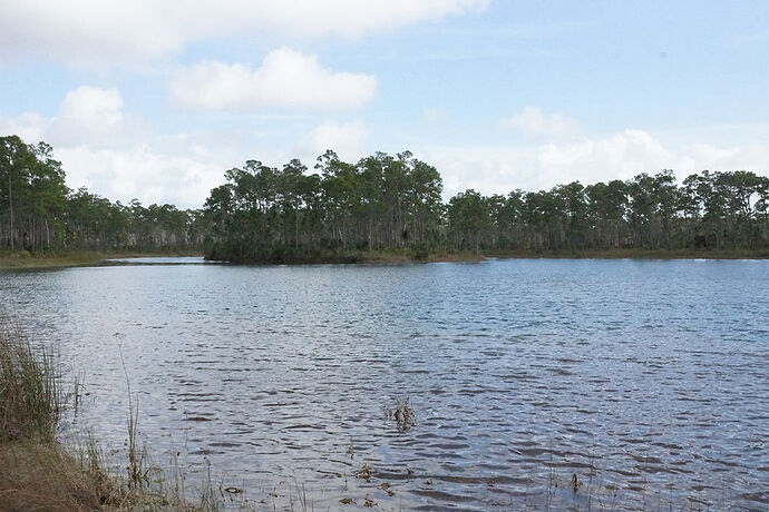 Découverte de le FLORIDE - Les KEYS & Les EVERGLADES - cartesien