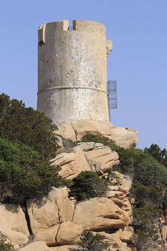 Re: Haute-Corse ou Corse du sud - puma