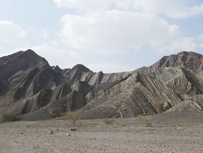 Re: De retour de deux semaines à Oman avec 3 jeunes enfants en camping sauvage - jmayo