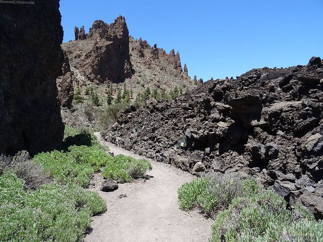 Tenerife: 1 semaine au pied du Teide - PepetteEnVadrouille