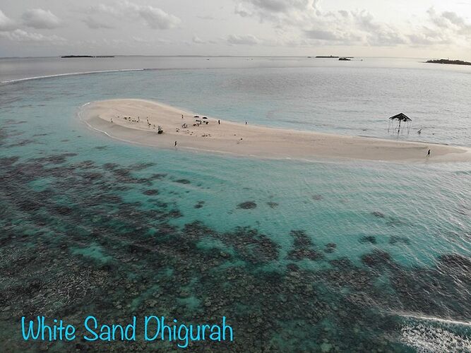 Les îles desertes des Maldives - Sandbank White Sand - Philomaldives Guide Safaris