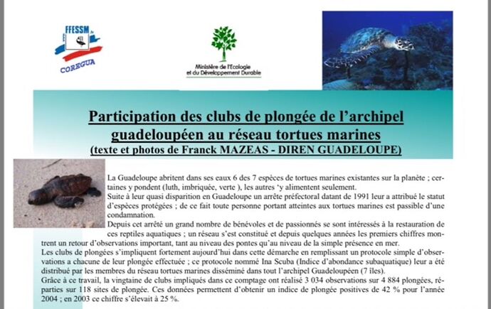 Re: Tortues et fonds marins a Malendure .... - marino