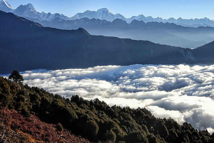 3 semaines au Langtang - YvanM