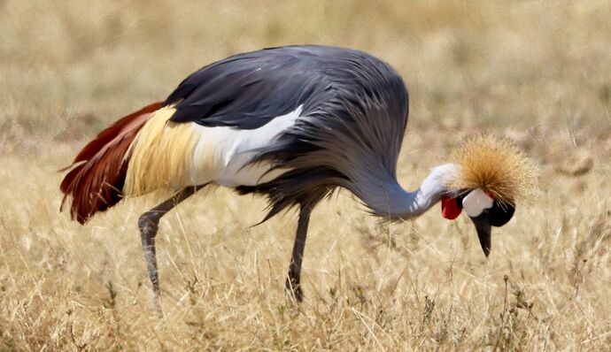 Voyage inoubliable en Tanzanie - CORADOM