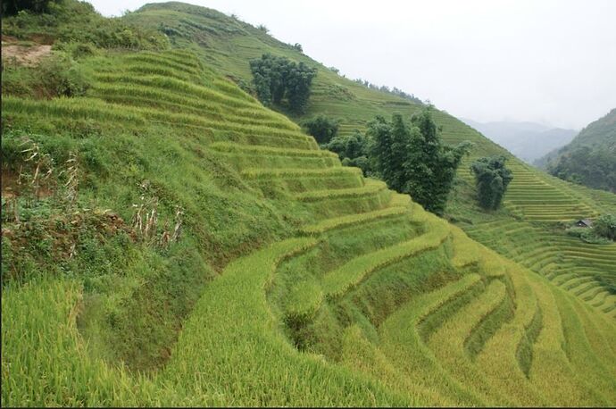 Vietnam, roadtrip du nord au sud - iingriidK