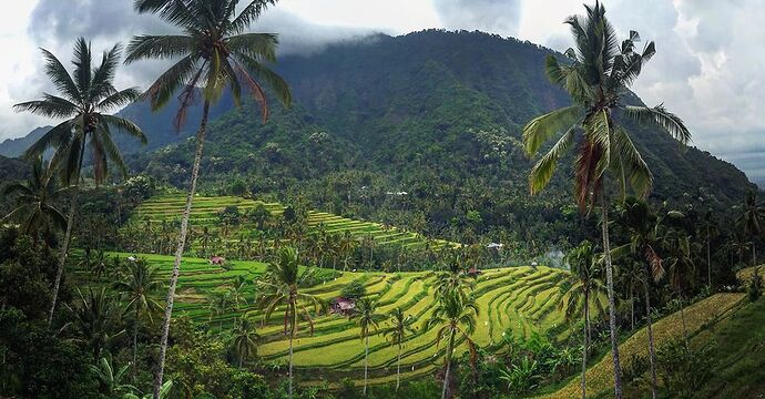 The Trip - road trip à Bali, l'île des dieux  - Victor-TheTrip