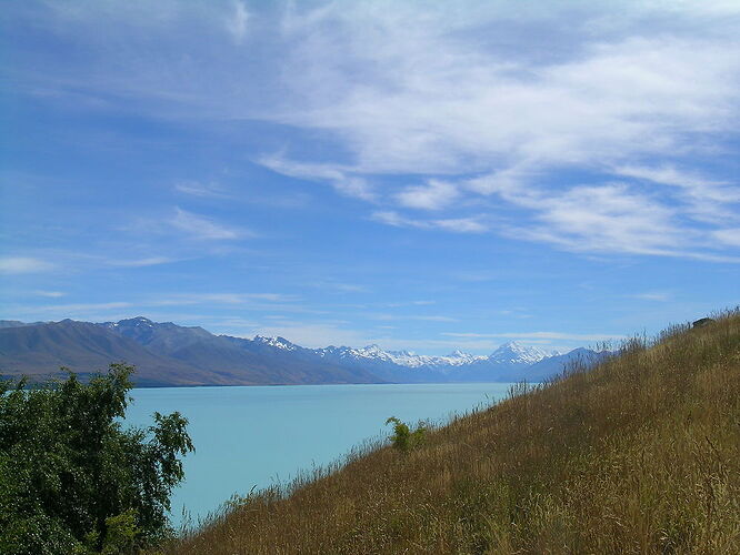 Souvenirs Ile Sud 3, Tekapo, Christchurch, Akaroa - tante cricri