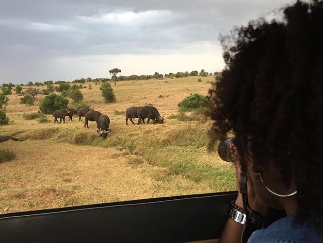Re: Waltz Tours Safaris au Kenya - celodiie