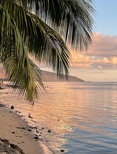 Retour de POLYNÉSIE : Tahiti/Punaauia - PATOUTAILLE
