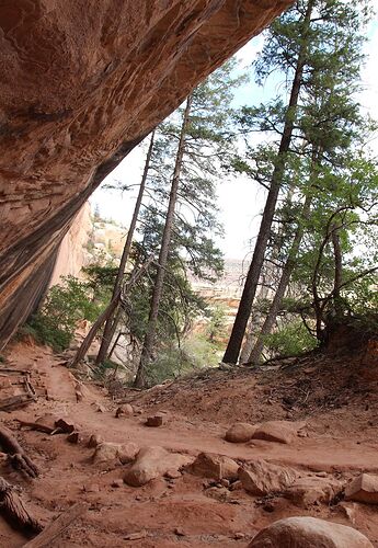 je dirai Natural Bridges - Hiacinthe