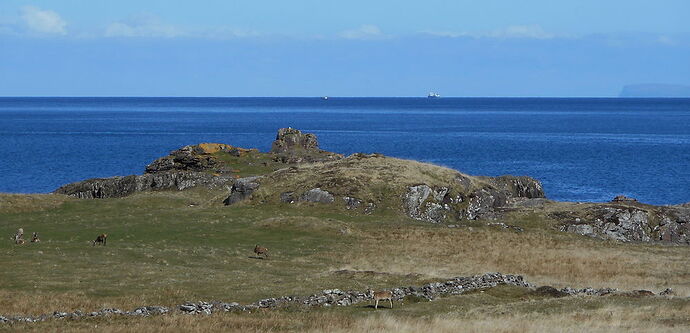 Baie de Kilmory - calamity jane