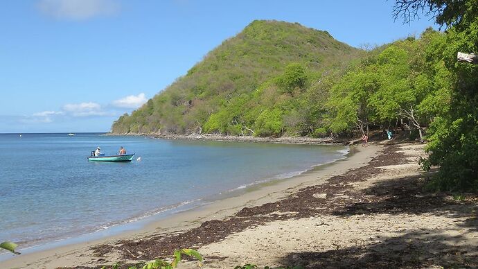 Re: Retour 2 semaines en Guadeloupe - michele87