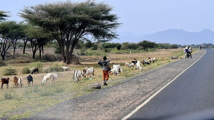 Re: Au coeur du Kenya ; le Kenya dans le coeur - Jmarc71