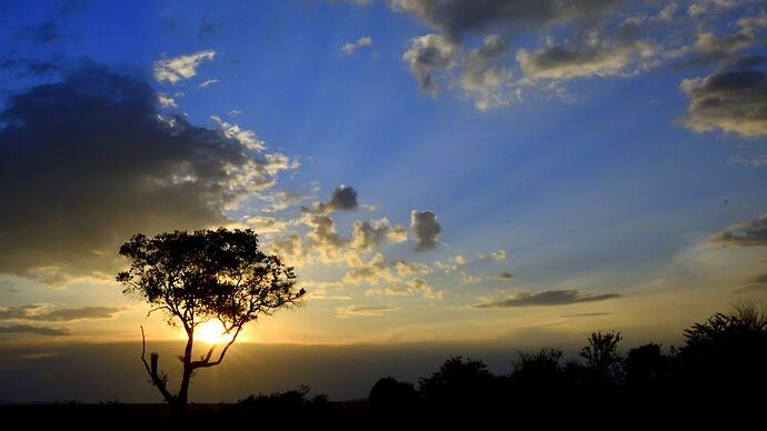 Re: Au coeur du Kenya ; le Kenya dans le coeur - Jmarc71