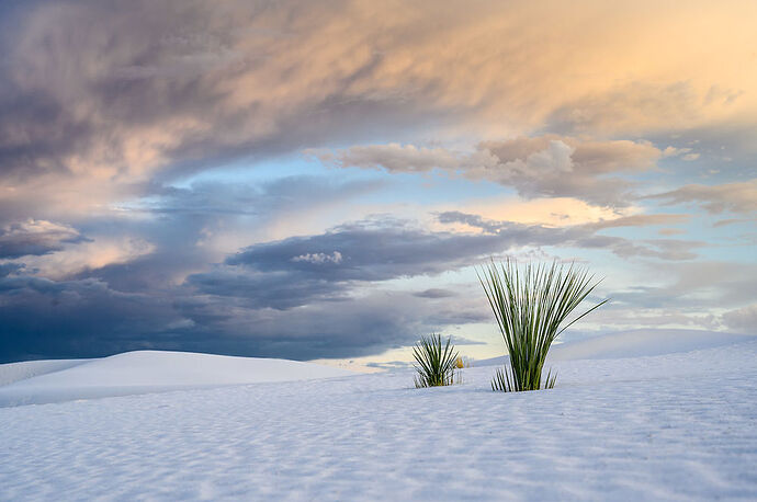 Samedi 30 Juillet : Fort Bowie et White Sands - darth