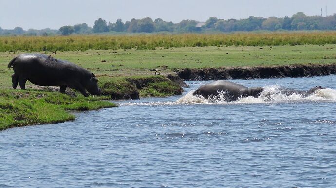 Re: NAMBOTSVIC Namibie- Botswana- Victoria Falls, 3 semaines magiques - PATOUTAILLE