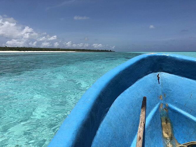 Re: Safari sur mesure et extension Zanzibar avec Virginie et l'agence Kibowhy - AureJM