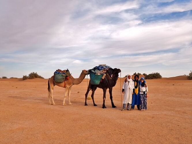 Re: 1 semaine Maroc entre sœurs - Marrakech et trek 3 jours dans le Sahara -  - louloucoco13