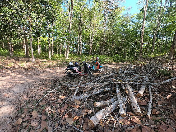 j10 suite - découverte de l'ile en scooter et petite escapade sur Koh Yao Yai - llce