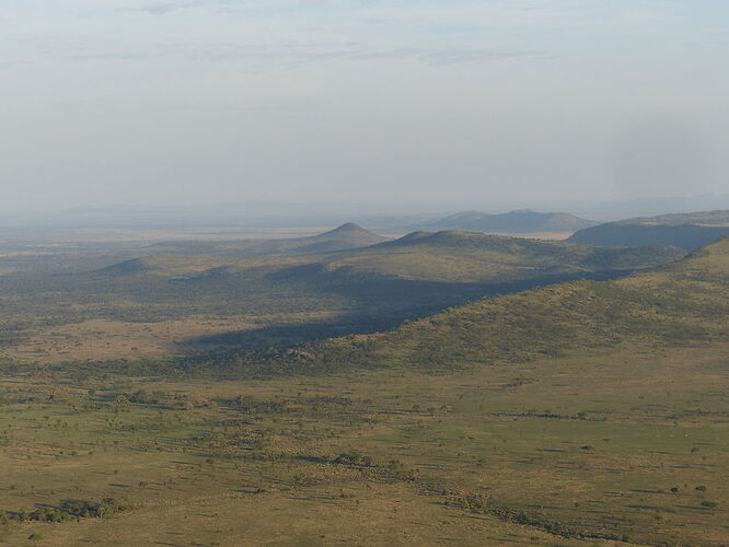 Serengeti, les plaines sans fin  - fabienne65