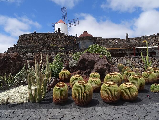 2 semaines à Lanzarote, l'île aux mille volcans - PepetteEnVadrouille