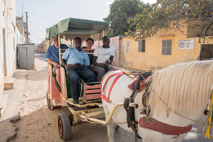 Re: guide Madia au Sénégal - Phildou