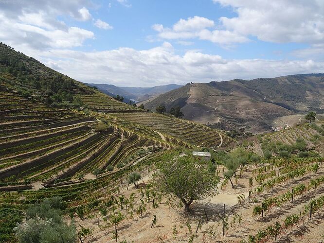 1 semaine à Porto et dans la vallée du douro! - PepetteEnVadrouille