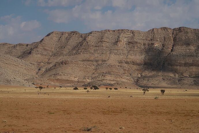 Re: Retour de Namibie fin mai début juin avec 2 loustics de 2 et 5 ans  - adefab