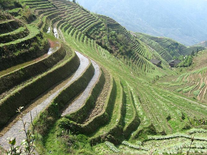 Re: voyage à Hong Kong et région de Guillin - yensabai