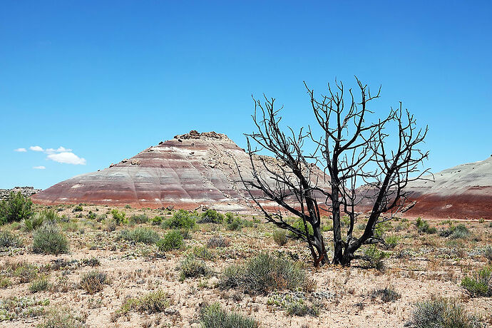 Re: Burr Trail Rd + Notom Bullfrog Basin Rd et aussi Cathedral Valley avec un SUV? - Willy-coyote