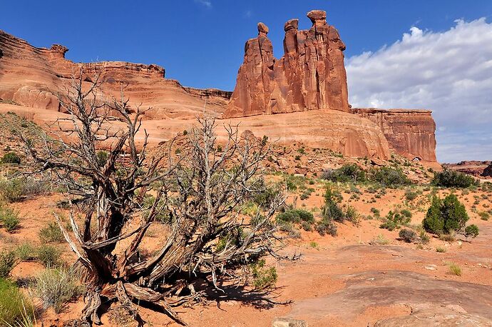 Parc national de Arches et Secret Spire - chellmi