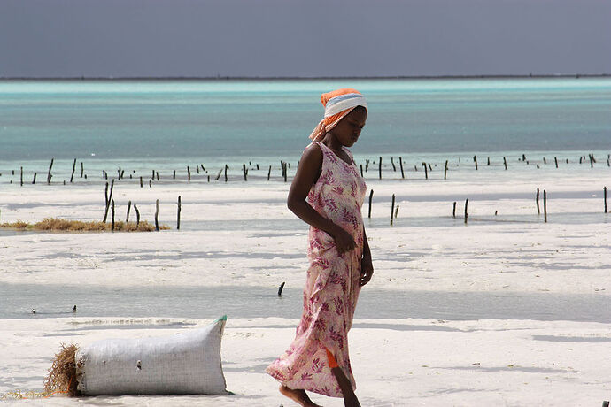 Re: Voyage Zanzibar 27 janvier au 7 février - Philippe Thouvenot