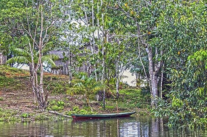 Re: excursion dans le lencois maranhenses et en Amazonie - France-Rio