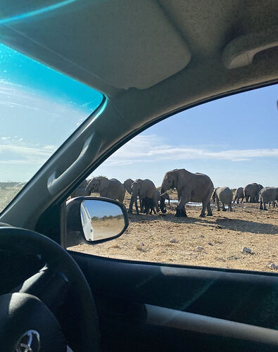 Road trip Namibie - infos et conseils - Romane-Thbt