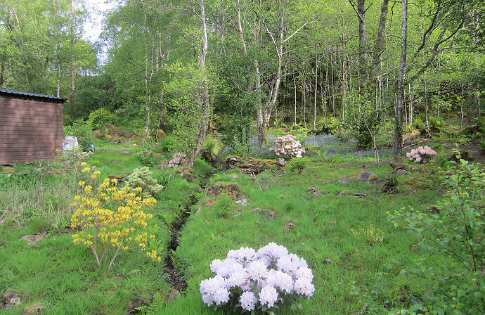 De Mallaig à Inverie . Inverie - calamity jane