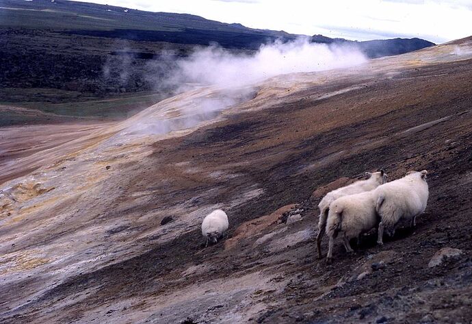 Re: Tour de l'Islande en 18 jours - yensabai