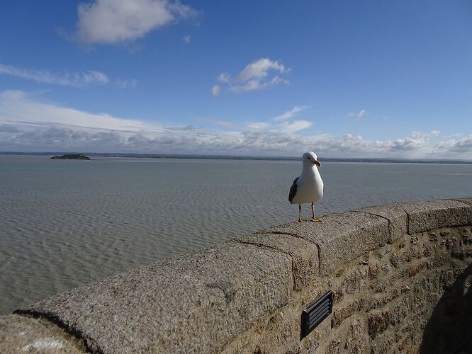 Re: Carnet de voyage, pont en Bretagne et Normandie  - Fecampois