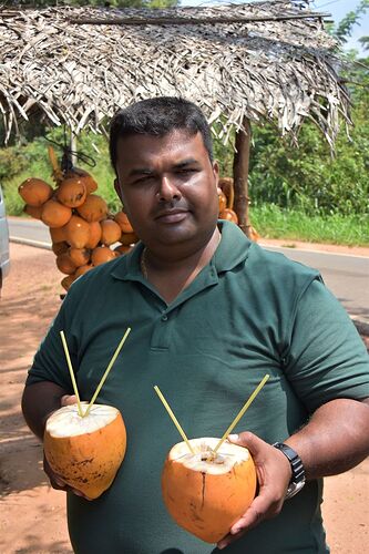 Jeewan, notre super chauffeur et compagnon de route durant 15 jours au Sri Lanka - sergio91