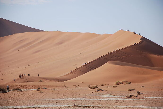 J14 - Dead vlei, Sossusvlei, Tsaris Mountains - llce