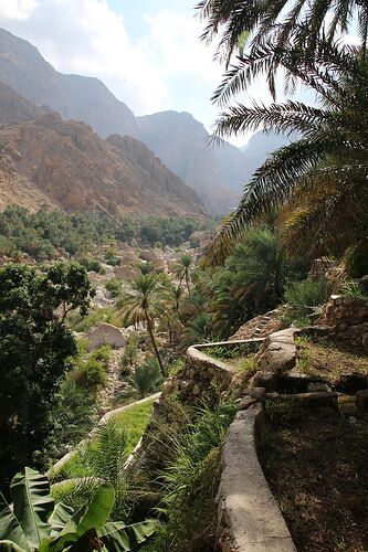 2 semaines de camping à Oman : des treks, des dunes et des wadis : Suite - Carines26