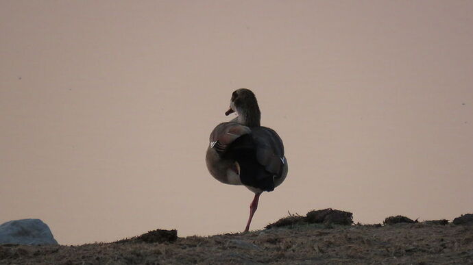 Re: NAMBOTSVIC Namibie- Botswana- Victoria Falls, 3 semaines magiques - PATOUTAILLE