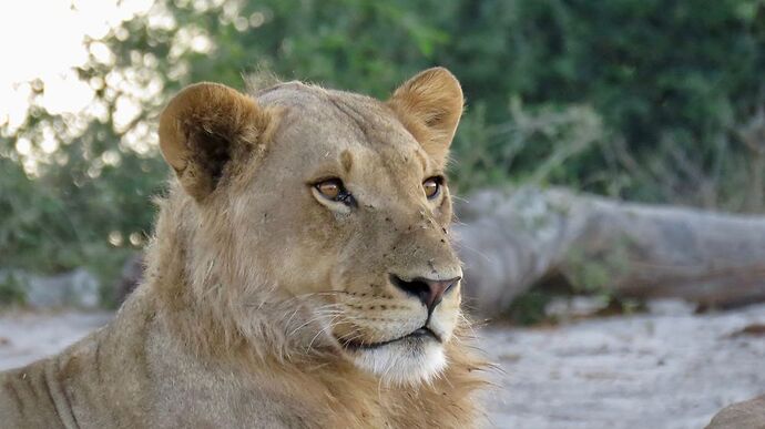 Re: NAMBOTSVIC Namibie- Botswana- Victoria Falls, 3 semaines magiques - PATOUTAILLE