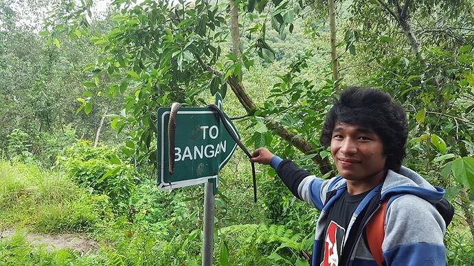 Super Guide Banaue Batad Sagada Baguio - AlissonBgts