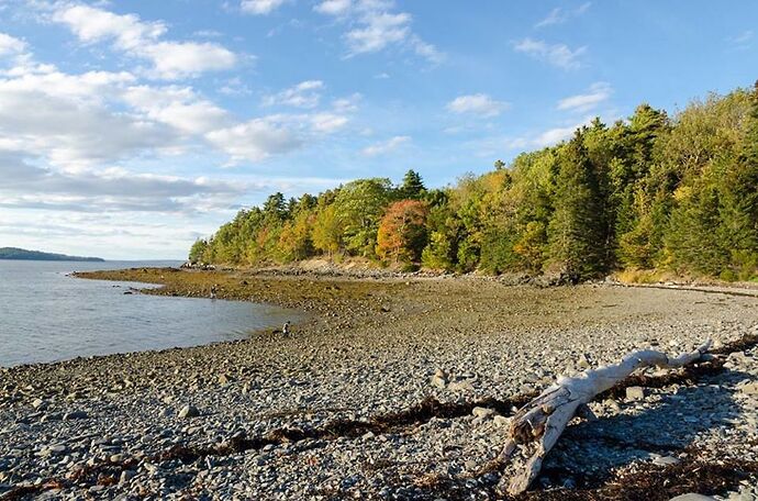 3 JOURS DANS LE MAINE À LA DÉCOUVERTE DE BAR HARBOR ET DU PARC ACADIA - anaisgaujat