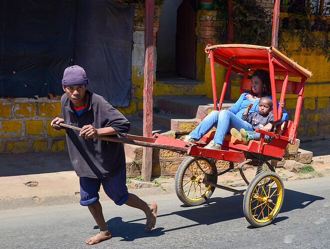 23 jours à Madagascar: Tana, les baobabs, les tsingy, Andasibe, Les Pangalanes, St Marie, Antsirabe - Lezard26 23 jours à Madagascar: Tana, les baobabs, les tsingy, Andasibe, Les Pangalanes, St Marie, Antsirabe - Lezard26