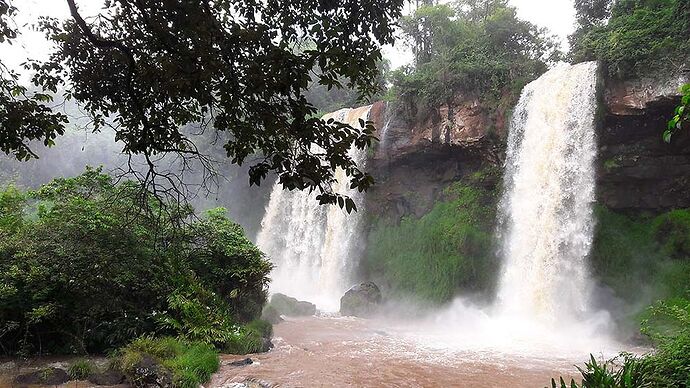 Re: Trajet en bus pour les chutes d'Iguaçu ? - France-Rio